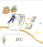 ZEC